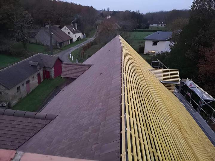 Réparation et traitement toiture Argentan